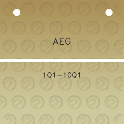 aeg-1q1-10q1