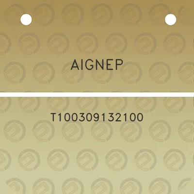 aignep-t100309132100