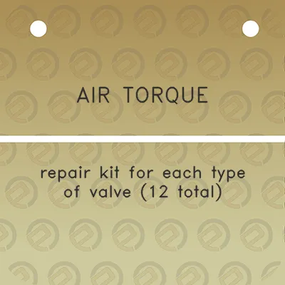 air-torque-repair-kit-for-each-type-of-valve-12-total