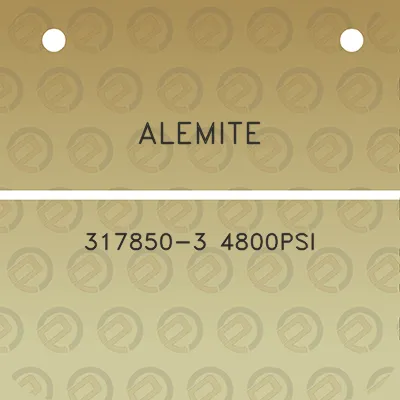 alemite-317850-3-4800psi