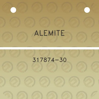 alemite-317874-30