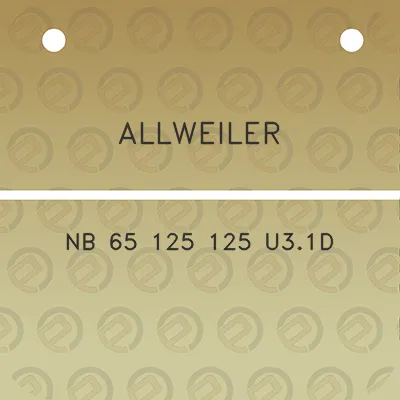 allweiler-nb-65-125-125-u31d