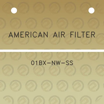 american-air-filter-01bx-nw-ss