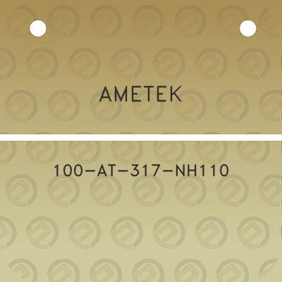 ametek-100-at-317-nh110