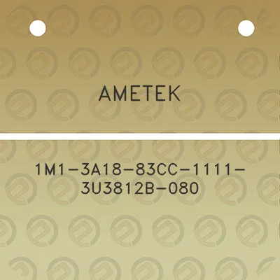 ametek-1m1-3a18-83cc-1111-3u3812b-080