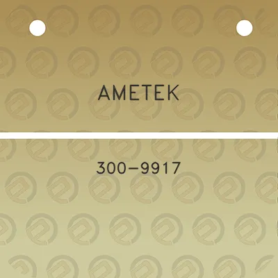 ametek-300-9917