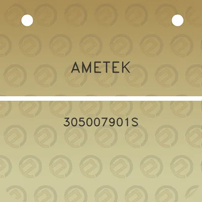 ametek-305007901s