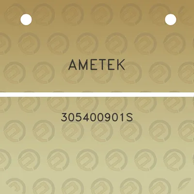 ametek-305400901s