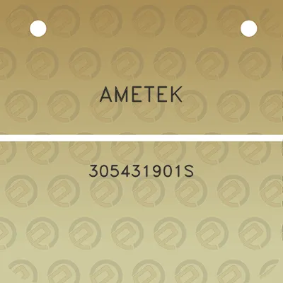 ametek-305431901s