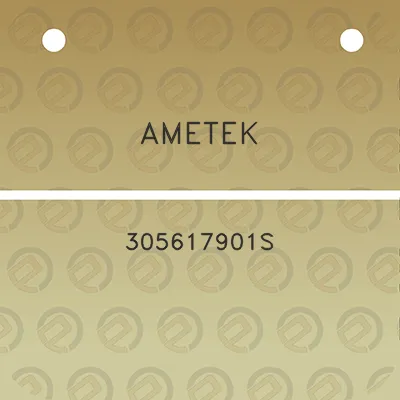 ametek-305617901s