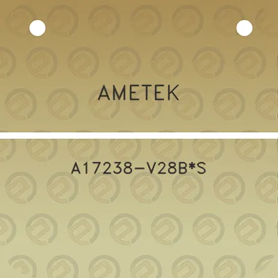 ametek-a17238-v28bs