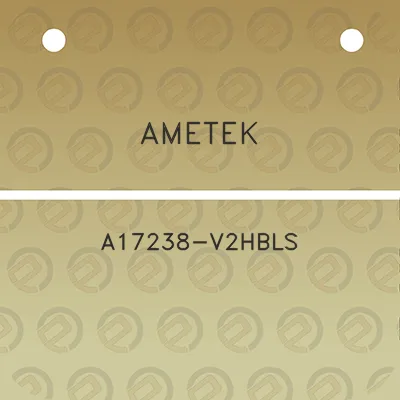 ametek-a17238-v2hbls