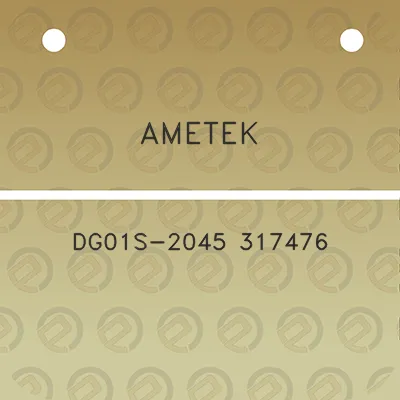 ametek-dg01s-2045-317476