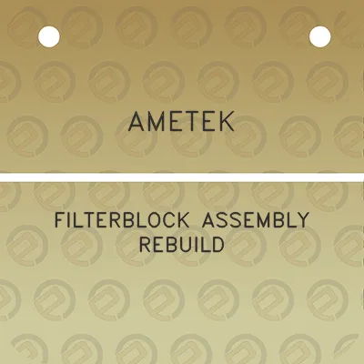 ametek-filterblock-assembly-rebuild