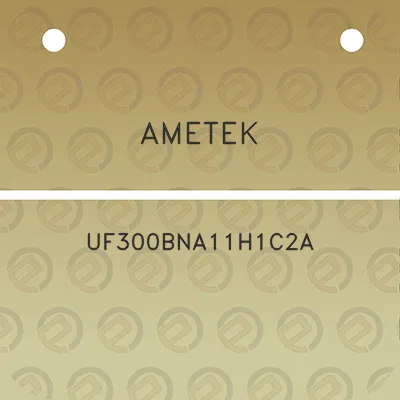 ametek-uf300bna11h1c2a