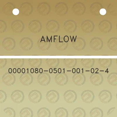 amflow-00001080-0501-001-02-4