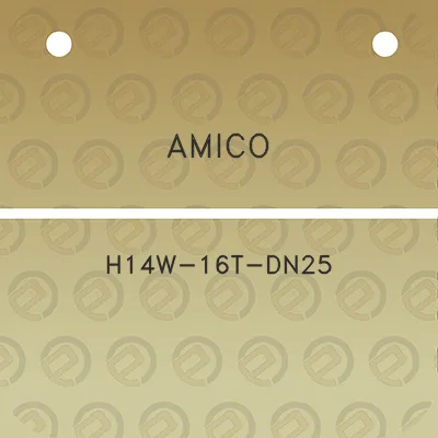 amico-h14w-16t-dn25