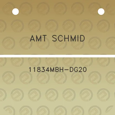 amt-schmid-11834mbh-dg20