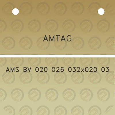 amtag-ams-bv-020-026-032x020-03