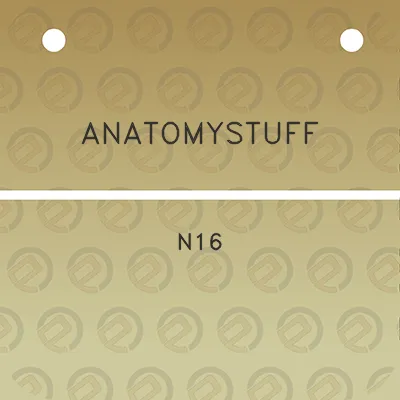 anatomystuff-n16