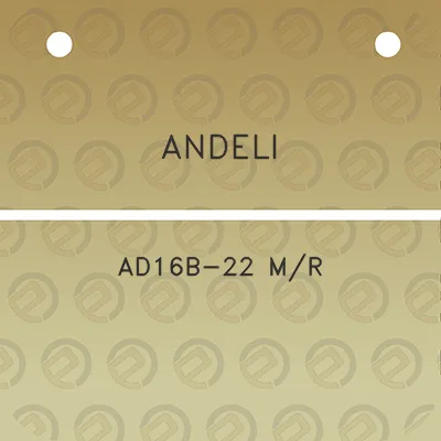 andeli-ad16b-22-mr