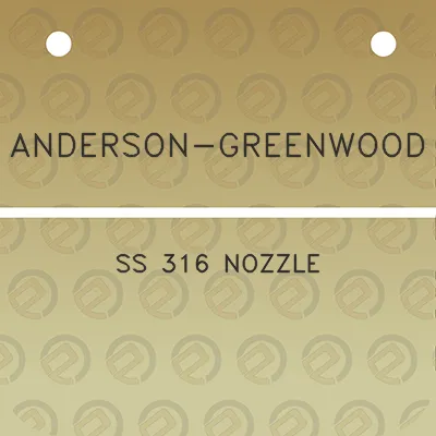 anderson-greenwood-ss-316-nozzle