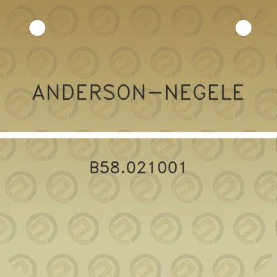 anderson-negele-b58021001