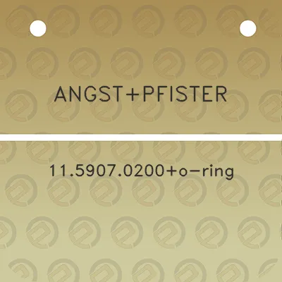 angstpfister-1159070200o-ring