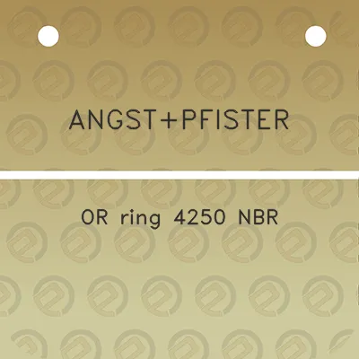 angstpfister-or-ring-4250-nbr