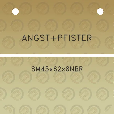 angstpfister-sm45x62x8nbr