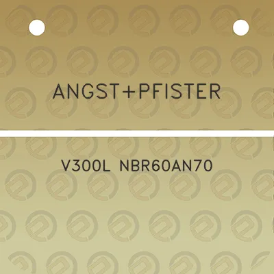 angstpfister-v300l-nbr60an70