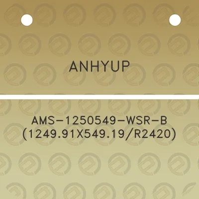 anhyup-ams-1250549-wsr-b-124991x54919r2420