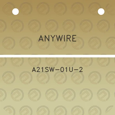 anywire-a21sw-01u-2