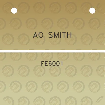 ao-smith-fe6001