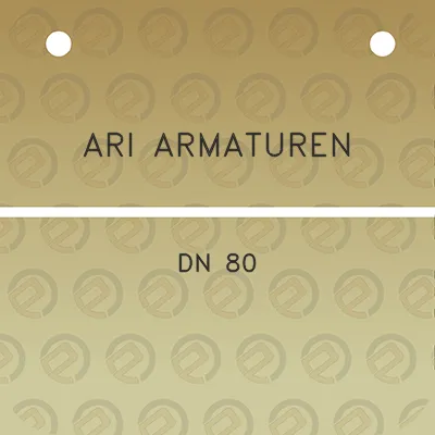 ari-armaturen-dn-80