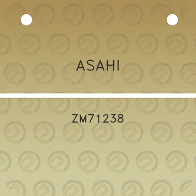 asahi-zm71238