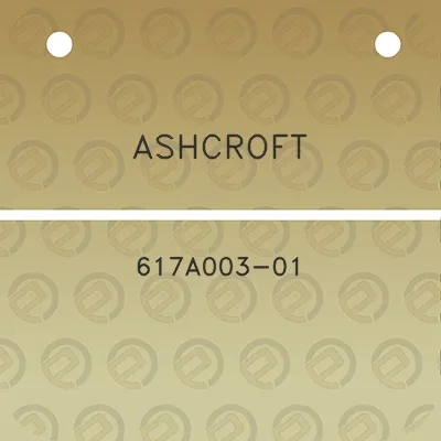 ashcroft-617a003-01