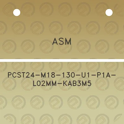 asm-pcst24-m18-130-u1-p1a-l02mm-kab3m5