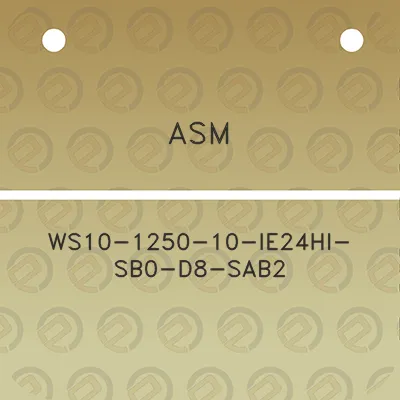 asm-ws10-1250-10-ie24hi-sb0-d8-sab2