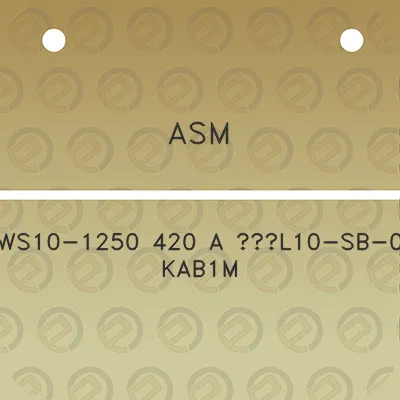 asm-ws10-1250-420-a-l10-sb-0-kab1m