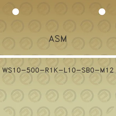 asm-ws10-500-r1k-l10-sb0-m12