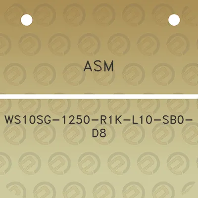 asm-ws10sg-1250-r1k-l10-sb0-d8