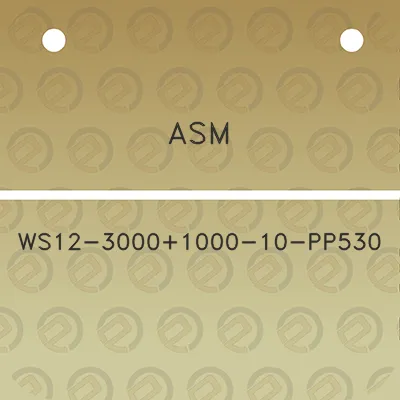 asm-ws12-30001000-10-pp530