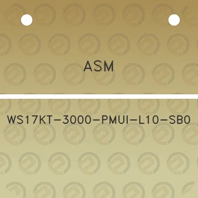 asm-ws17kt-3000-pmui-l10-sb0