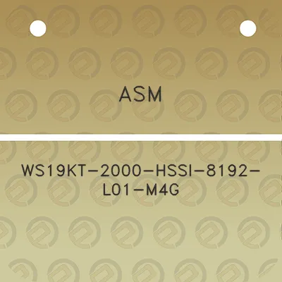 asm-ws19kt-2000-hssi-8192-l01-m4g