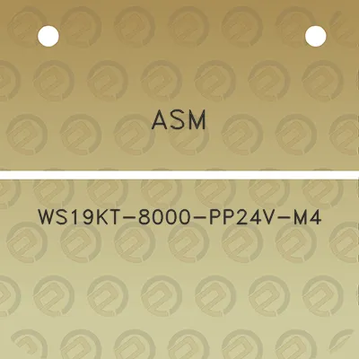 asm-ws19kt-8000-pp24v-m4