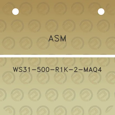 asm-ws31-500-r1k-2-maq4