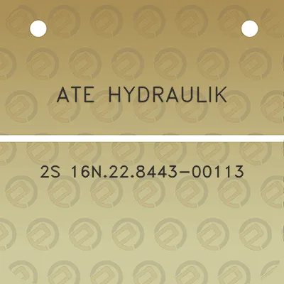 ate-hydraulik-2s-16n228443-00113