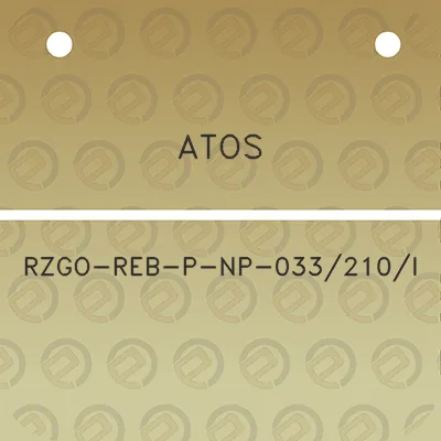 atos-rzgo-reb-p-np-033210i