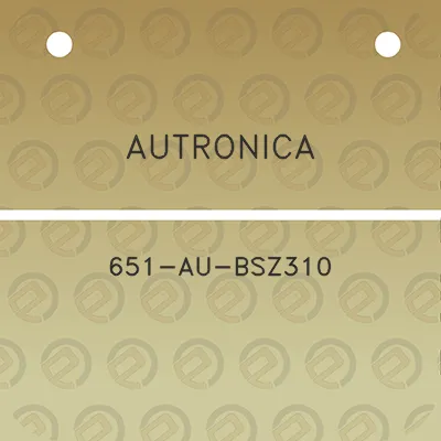 autronica-651-au-bsz310